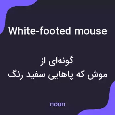 معنی white-footed mouse به فارسی معنی white-footed mouse به فارسی