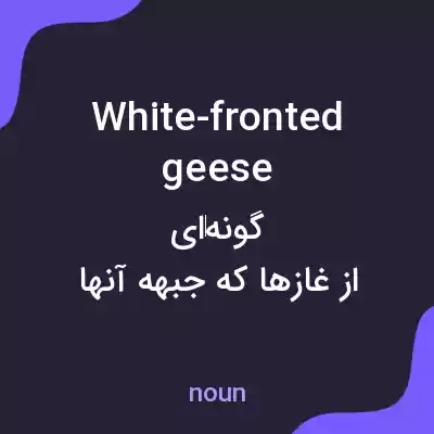 معنی white-fronted geese به فارسی معنی white-fronted geese به فارسی