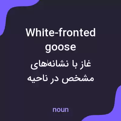 معنی white-fronted goose به فارسی معنی white-fronted goose به فارسی