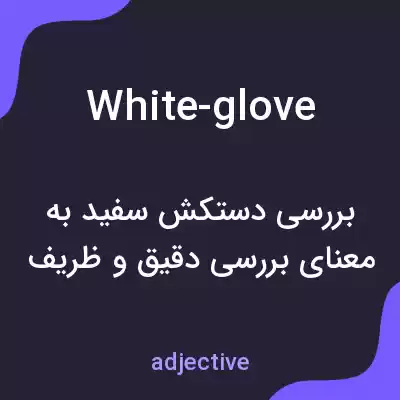 معنی white-glove به فارسی معنی white-glove به فارسی