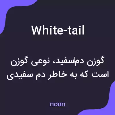 معنی white-tail به فارسی معنی white-tail به فارسی