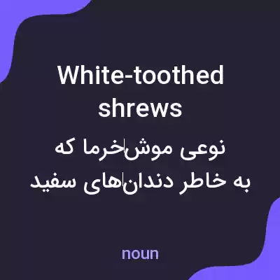 معنی white-toothed shrews به فارسی معنی white-toothed shrews به فارسی