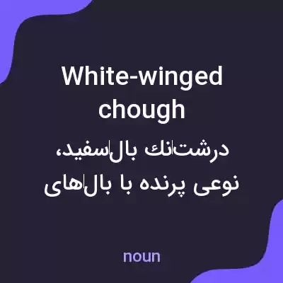 معنی white-winged chough به فارسی معنی white-winged chough به فارسی
