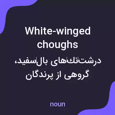 معنی white-winged choughs به فارسی معنی white-winged choughs به فارسی