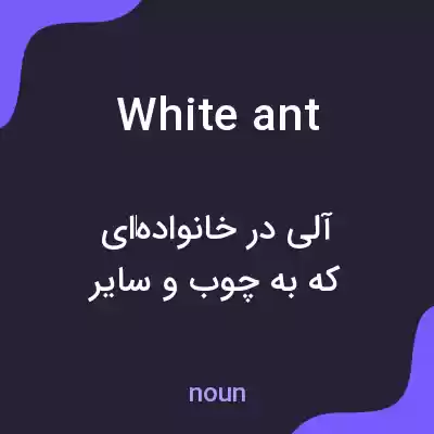 معنی white ant به فارسی