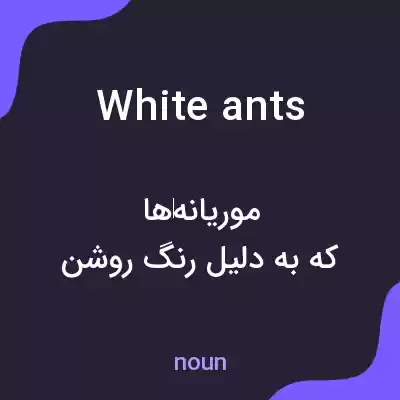 معنی white ants به فارسی معنی white ants به فارسی