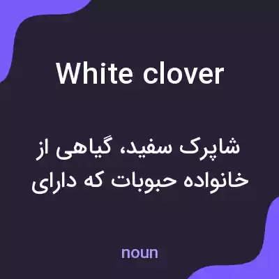 معنی white clover به فارسی