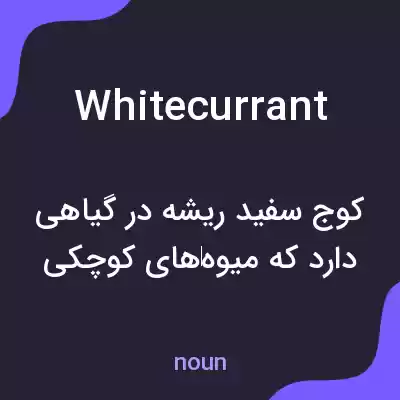 معنی white currant به فارسی معنی white currant به فارسی