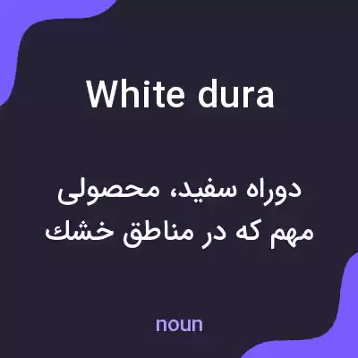 معنی white dura به فارسی معنی white dura به فارسی