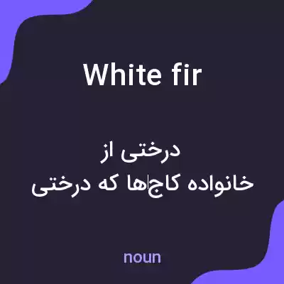 معنی white fir به فارسی معنی white fir به فارسی