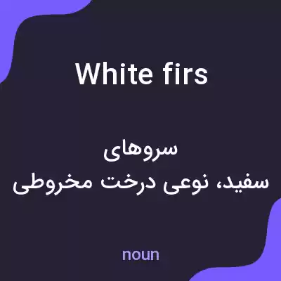 معنی white firs به فارسی معنی white firs به فارسی