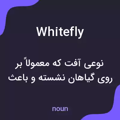 معنی whitefly به فارسی معنی whitefly به فارسی
