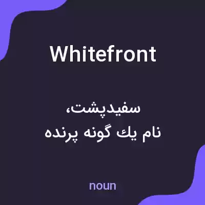 معنی whitefront به فارسی معنی whitefront به فارسی