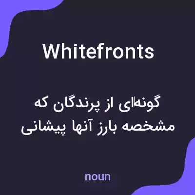 معنی whitefronts به فارسی معنی whitefronts به فارسی