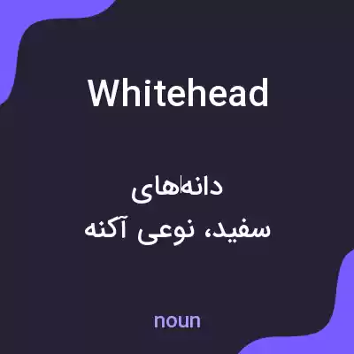 معنی whitehead به فارسی معنی whitehead به فارسی