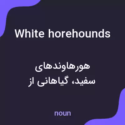 معنی white horehounds به فارسی معنی white horehounds به فارسی