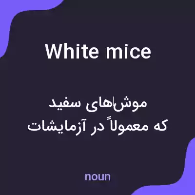 معنی white mice به فارسی معنی white mice به فارسی
