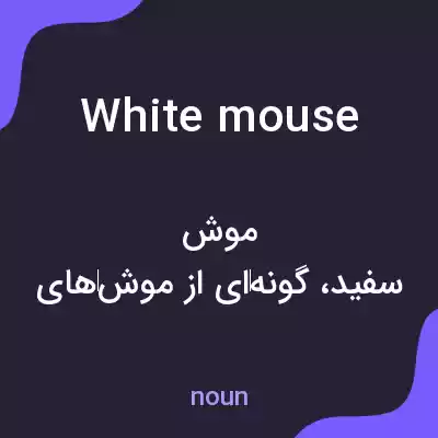 معنی white mouse به فارسی معنی white mouse به فارسی