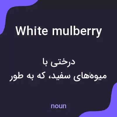 معنی white mulberry به فارسی معنی white mulberry به فارسی