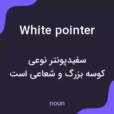 معنی white pointer به فارسی معنی white pointer به فارسی