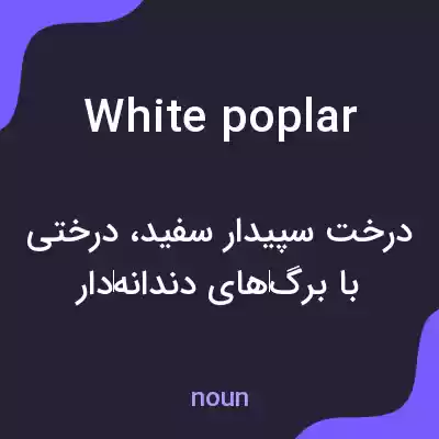 معنی white poplar به فارسی معنی white poplar به فارسی