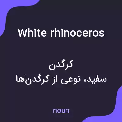 معنی white rhinoceros به فارسی معنی white rhinoceros به فارسی