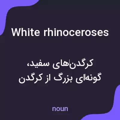 معنی white rhinoceroses به فارسی معنی white rhinoceroses به فارسی