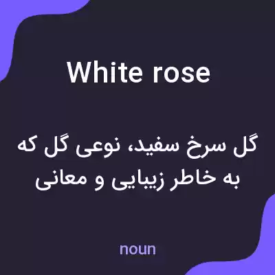 معنی white rose به فارسی معنی white rose به فارسی