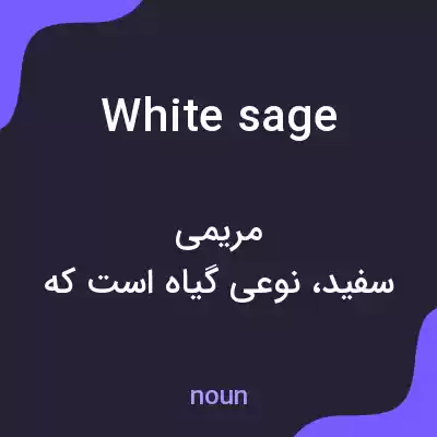 معنی white sage به فارسی معنی white sage به فارسی