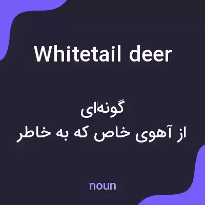 معنی whitetail deer به فارسی معنی whitetail deer به فارسی