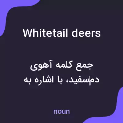 معنی whitetail deers به فارسی معنی whitetail deers به فارسی