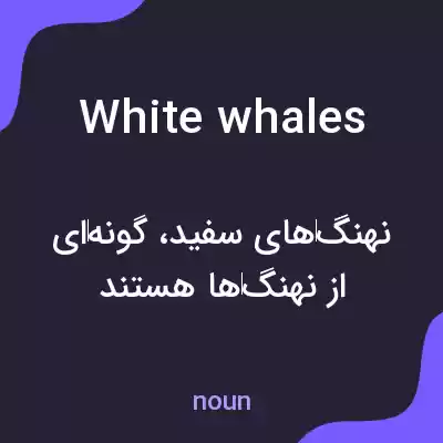 معنی white whales به فارسی معنی white whales به فارسی