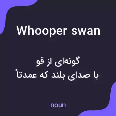 معنی whooper swan به فارسی