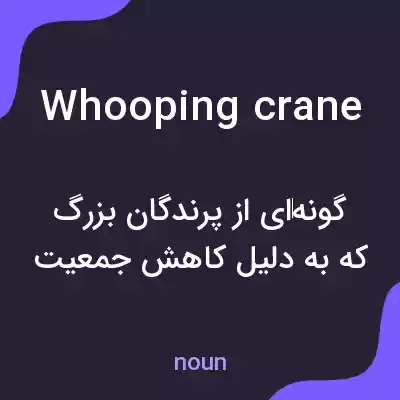 معنی whooping crane به فارسی معنی whooping crane به فارسی