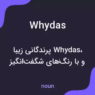 معنی whydas به فارسی معنی whydas به فارسی