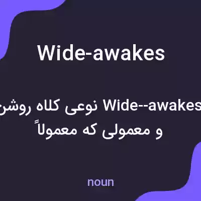 معنی wide-awakes به فارسی معنی wide-awakes به فارسی