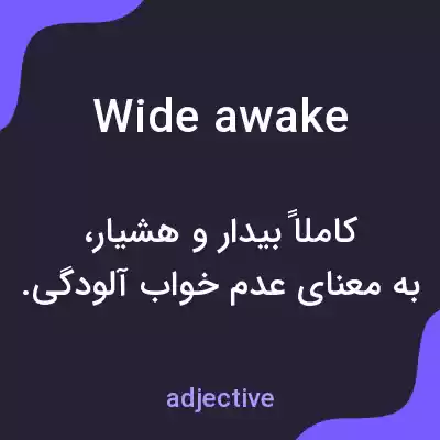 معنی wide awake به فارسی معنی wide awake به فارسی