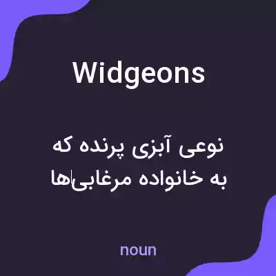 معنی widgeons به فارسی معنی widgeons به فارسی