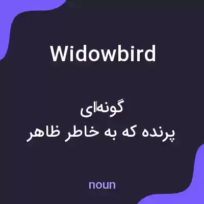 معنی widowbird به فارسی معنی widowbird به فارسی