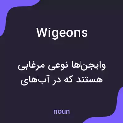 معنی wigeons به فارسی معنی wigeons به فارسی