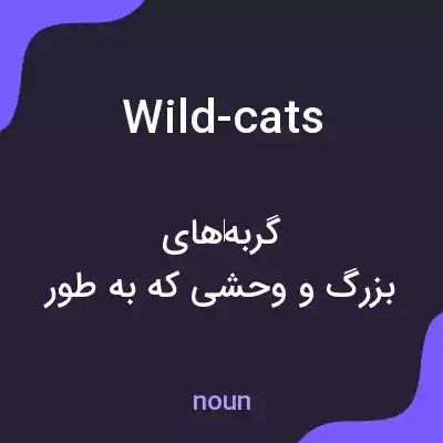 معنی wild-cats به فارسی معنی wild-cats به فارسی