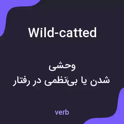 معنی wild-catted به فارسی معنی wild-catted به فارسی