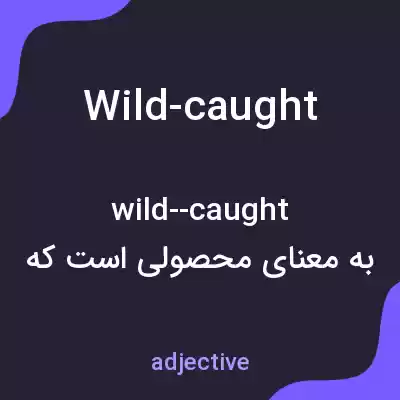 معنی wild-caught به فارسی معنی wild-caught به فارسی