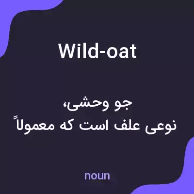 معنی wild-oat به فارسی معنی wild-oat به فارسی