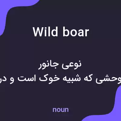 معنی wild boar به فارسی معنی wild boar به فارسی