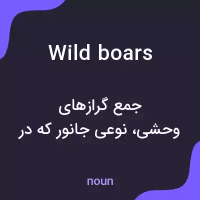 معنی wild boars به فارسی معنی wild boars به فارسی