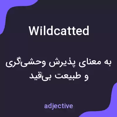 معنی wildcatted به فارسی