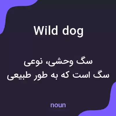 معنی wild dog به فارسی معنی wild dog به فارسی