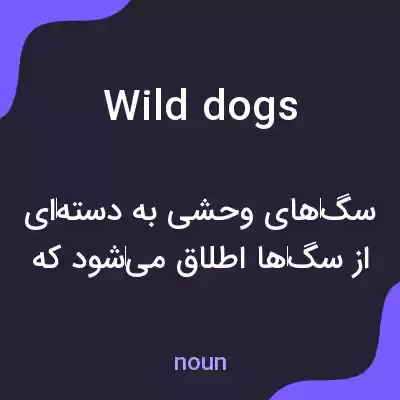 معنی wild dogs به فارسی