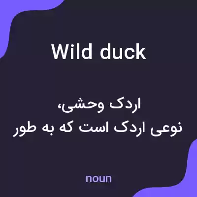 معنی wild duck به فارسی معنی wild duck به فارسی